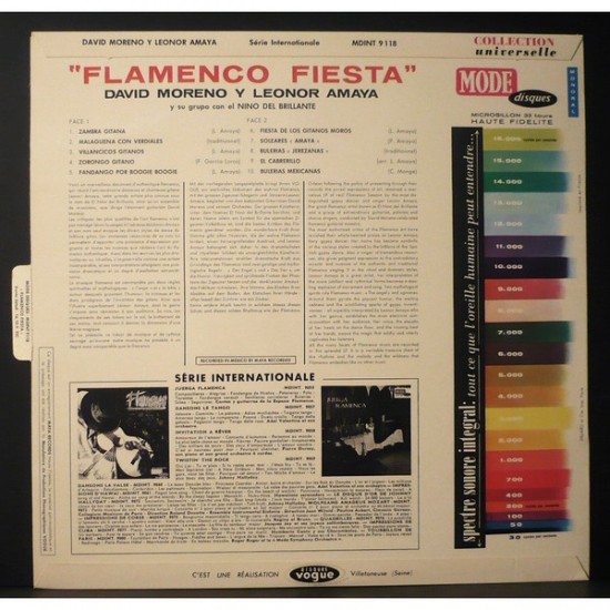 Flamenco Fiesta