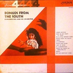 Bongos From The South