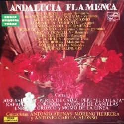 Andalucia Flamenca