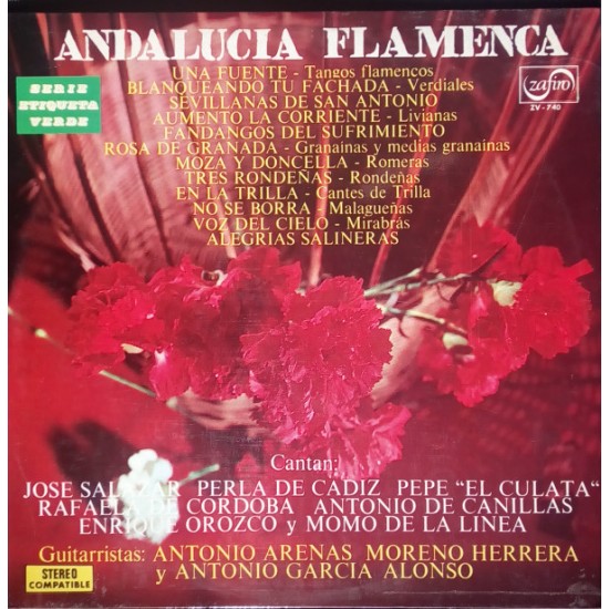 Andalucia Flamenca